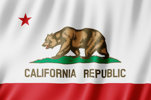 На картинке - флаг Калифорнии. Tim Draper предложил разделить Калифорнию на три штата