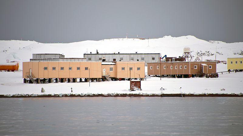 На российской антарктической станции ученый напал с ножом на коллегу. На фото станция Bellingshausen