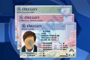 В Орегон вводят новые разноцветные водительские права и ID-карты. Какими они будут показано на фотографии