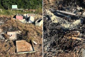 В Техасе вандалы уничтожили сотни тысяч пчел. На фото разоренные ульи