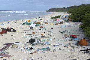 Ученые подсчитали, что за неделю в организм человека попадает около пяти граммов пластика. На фото пластик на пляже