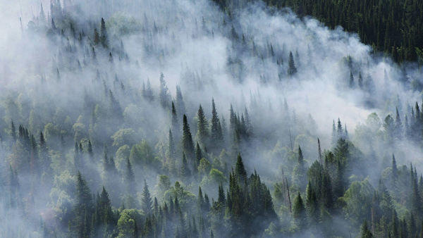 Дым от пожаров в Сибири достиг США. На фотографии лесной пожар