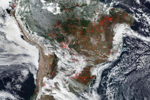 Амазонка в огне: виновато глобальное потепление или политика властей? На фото очаги возгорания из космоса