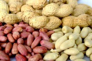 Впервые в США признали эффективность препарата от аллергии на арахис. На фотографии арахис