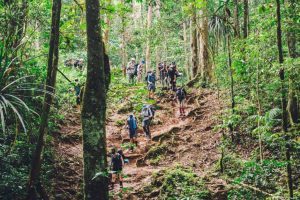 Национальный лес Gifford Pinchot принимает новые предложения по организации мероприятий для отдыха. На фото Национальный лес