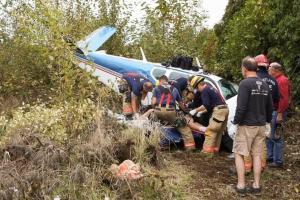 В Грешеме разбился небольшой самолет, пострадали два человека. Фото с места происшествия