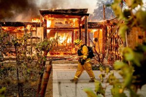 Калифорния объявляет чрезвычайное положение в связи с пожарами. На фотографии тушение пожара