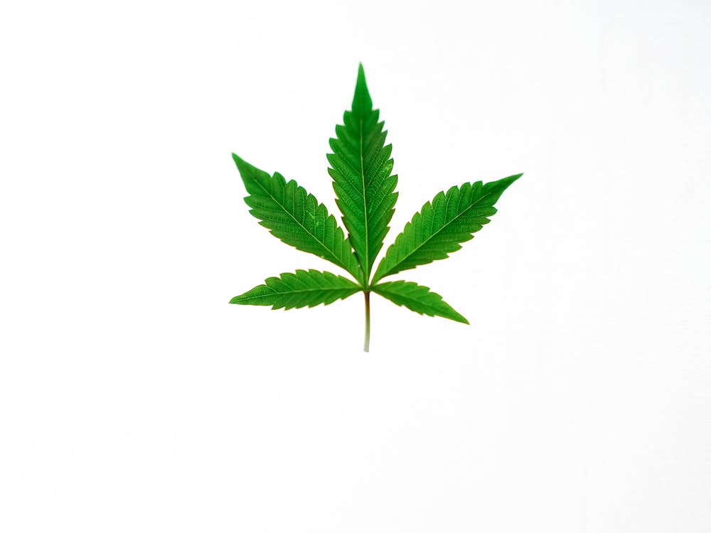 Новые законы марихуана хранение конопли в личных целях